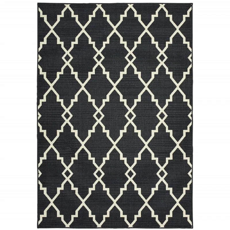 2' X 4' Indoor & Outdoor Area Rug - Black / Ivory