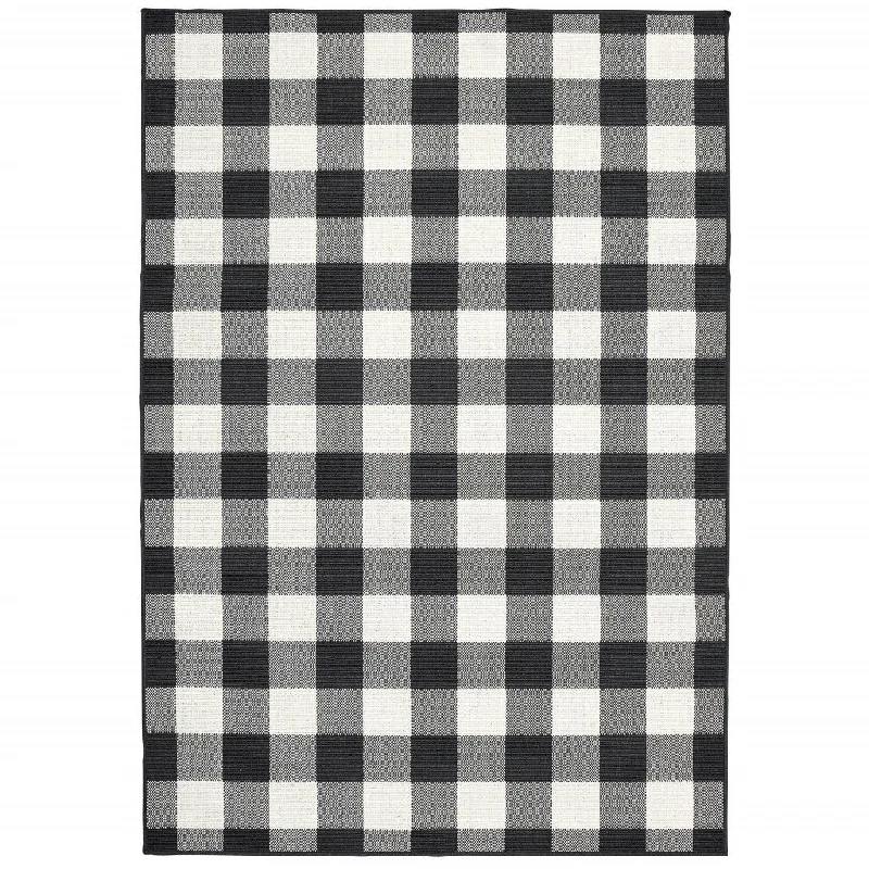 2' X 4' Outdoor / Indoor Area Rug - Black / Ivory