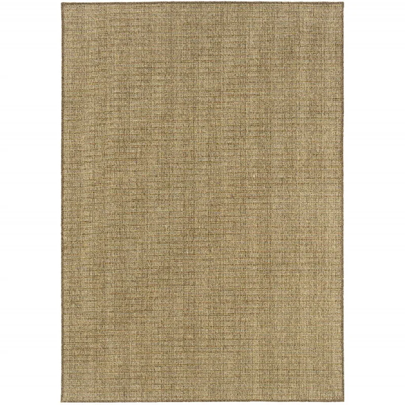 2' X 4' Stain Resistant Area Rug Indoor & Outdoor - Tan