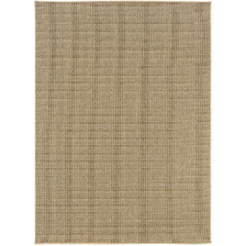 2' X 4' Stain Resistant Indoor & Outdoor Rug - Beige