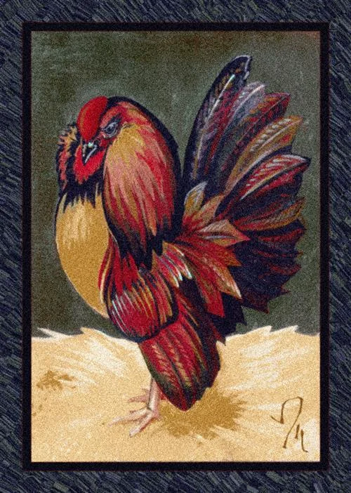 Provincial Rooster-11000 Emerald