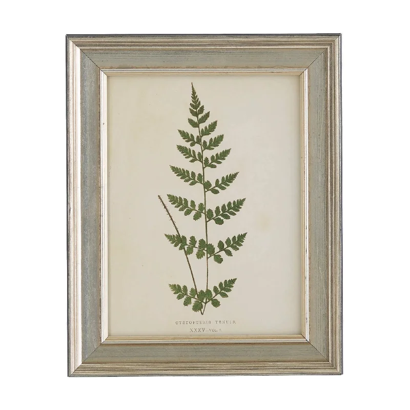 Vintage Fern 5 Wall Art