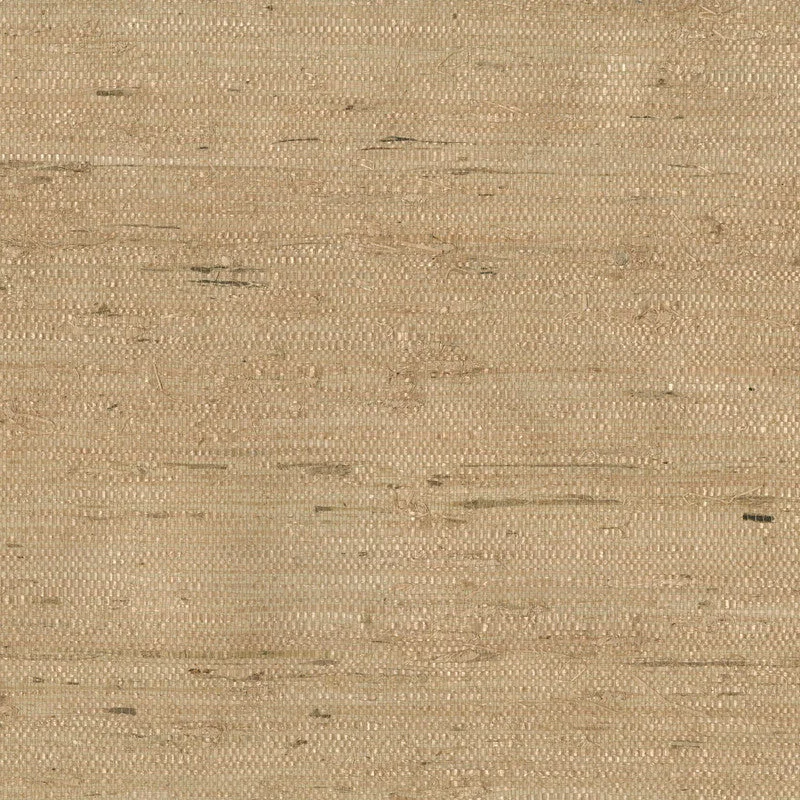 Grasscloth Arrowroot Wallpaper in Beige/Brown