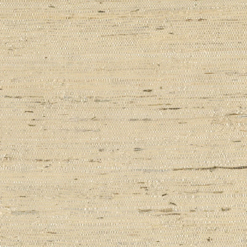 Grasscloth Arrowroot Wallpaper in Cream/Beige