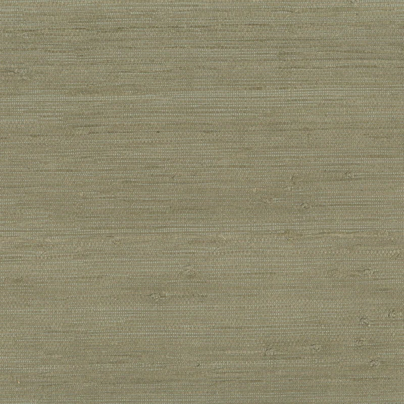 Grasscloth Fine Jute Wallpaper in Dark Sage Green