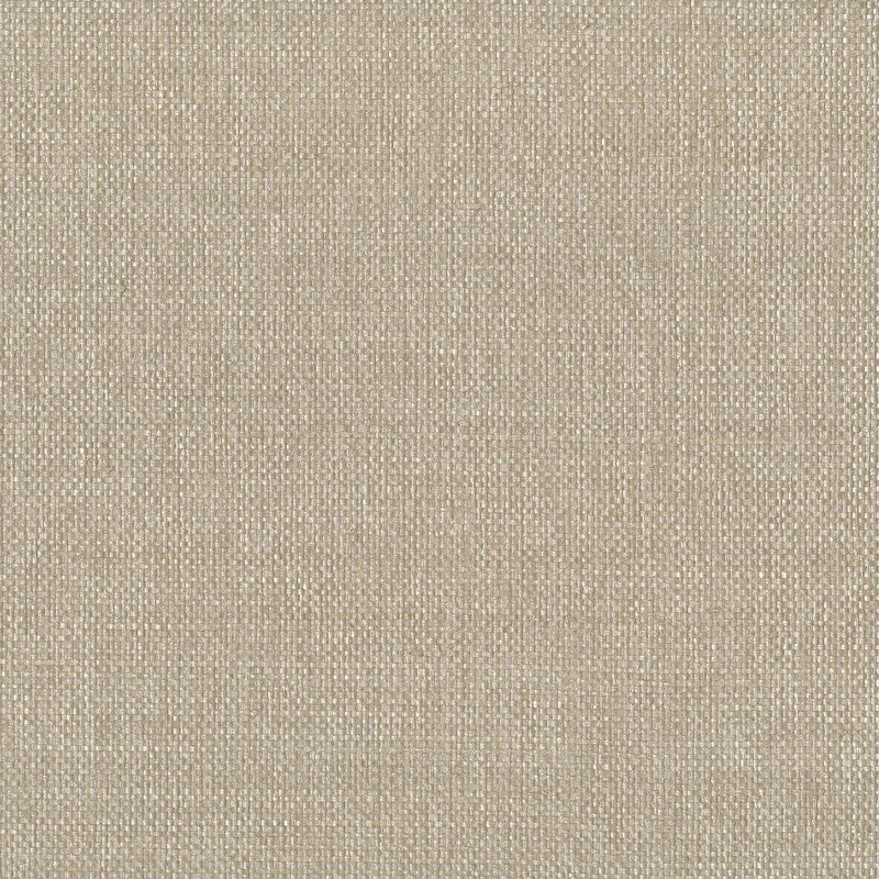 Grasscloth Raffia Wallpaper in Beige Metallic