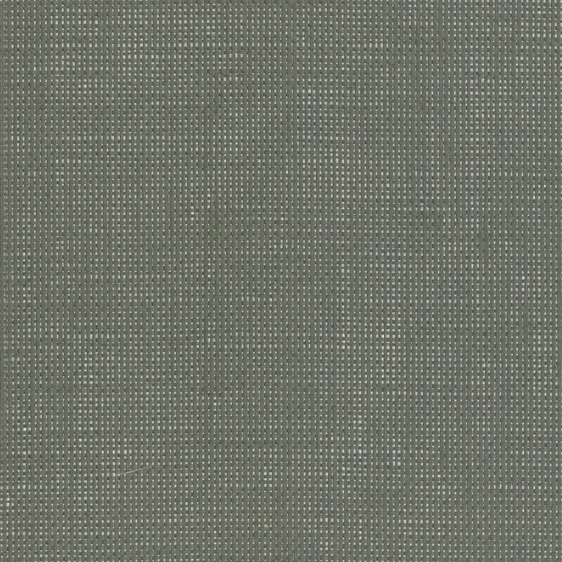 Paperweave Metal Back Wallpaper in Graphite/Silver