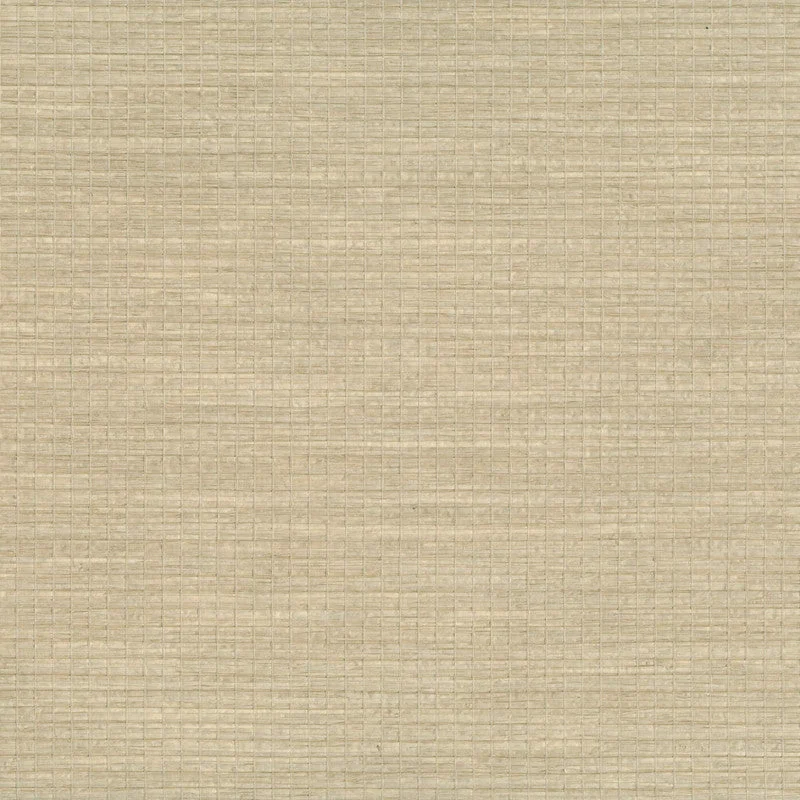 Paperweave Wallpaper in Beige