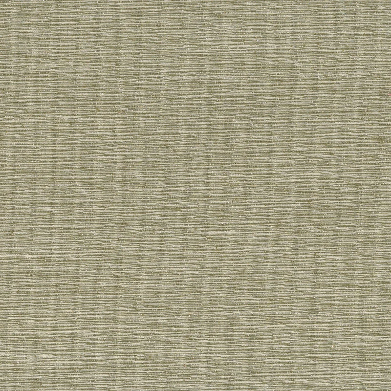 Wild Silk & Metal Yarn Wallpaper in Silver/Cream