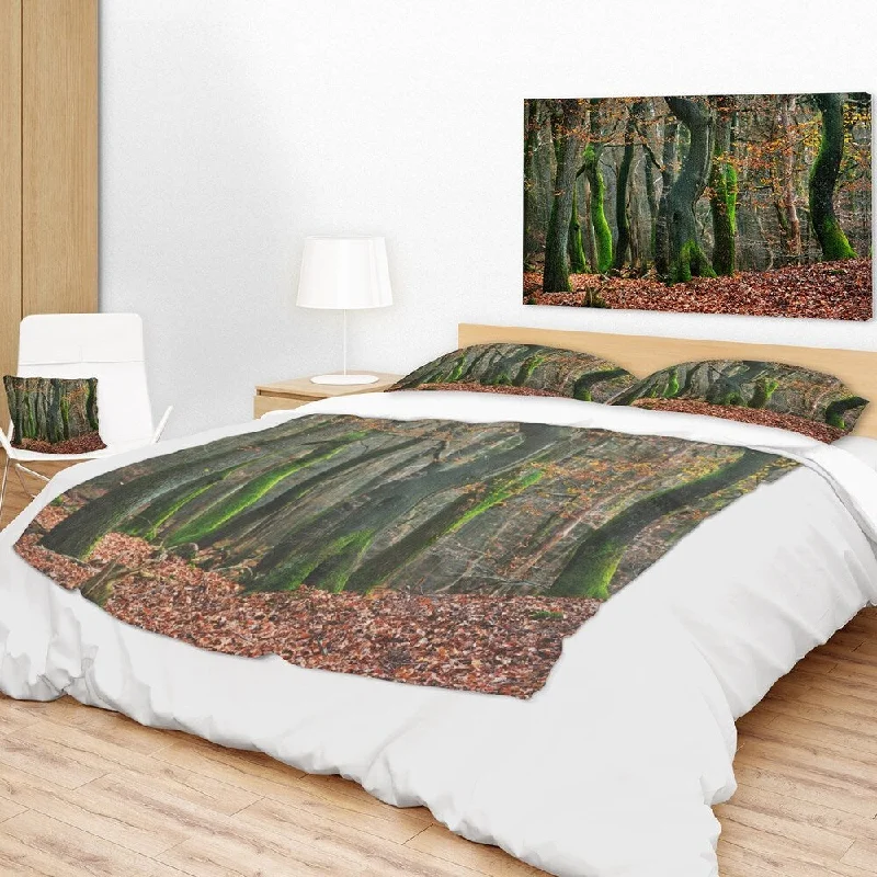 Designart 'Autumn Forest in the Netherlands' Landscape Photography Throw Blanket